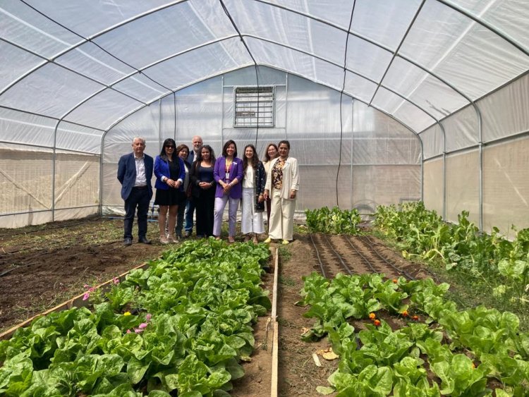 Fondo de Protección Ambiental permitió construir invernadero en escuela especial Las Violetas de Linares