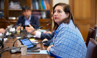 Senadora Vodanovic advirtió recurrir al Tribunal Constitucional por Ley Corta de Isapres