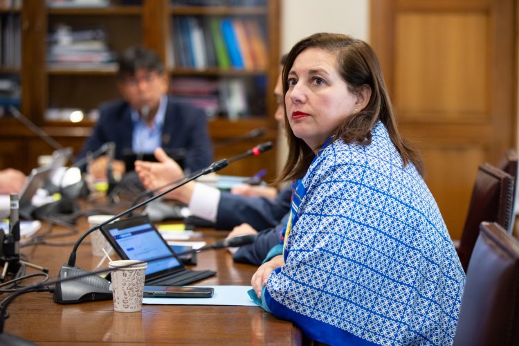 Senadora Vodanovic advirtió recurrir al Tribunal Constitucional por Ley Corta de Isapres