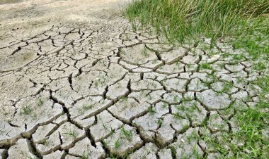 Regresa el Fenómeno de la Niña: ¿En qué consiste y cómo impactará a Chile?