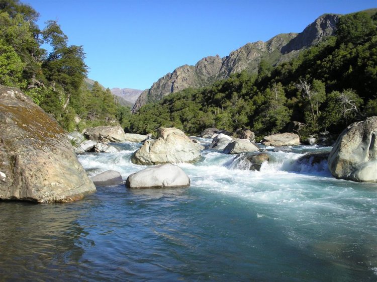 Joven de 29 años muere ahogado en las aguas del río Achibueno