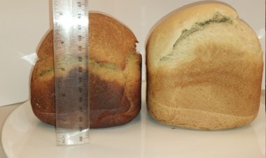 Comprueban que pan con harina de porotos disminuye niveles de glucemia en personas mayores