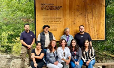 En terreno sesiona Comité Operativo de Administración del Santuario de la Naturaleza Cajón Río Achibueno