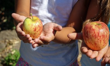 Advierten que la obesidad infantil se incrementó producto de la pandemia