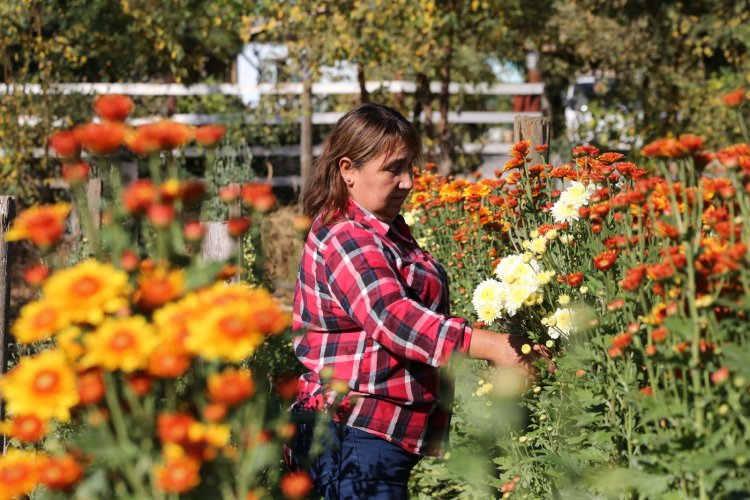 Florista Valeria González de Maule: el amor por las flores es una herencia familiar