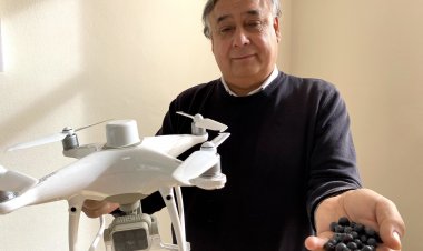 Con inteligencia artificial desarrollan proyecto para optimizar la producción de arándanos