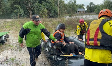 Persona mayor fue rescatada por GOPE de Carabineros Maule tras crecida del río Achibueno