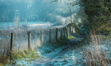 Agroclimatólogo alertó sobre heladas intensas y extensas por Fenómeno de La Niña