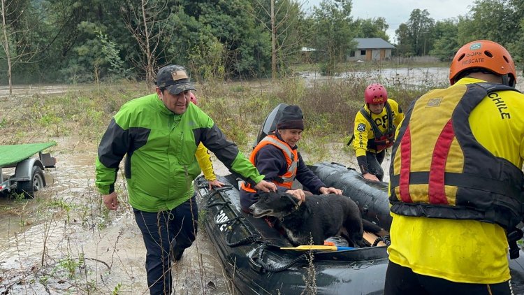 Persona mayor fue rescatada por GOPE de Carabineros Maule tras crecida del río Achibueno