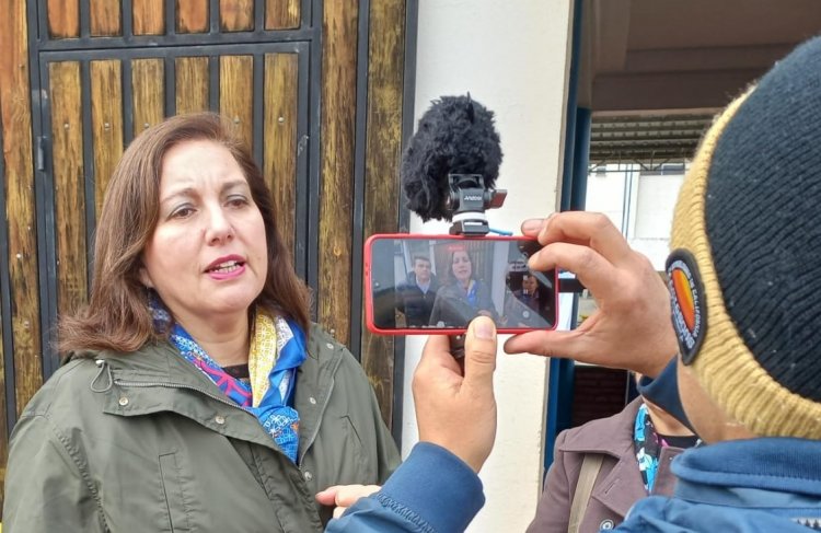 Senadora Vodanovic expresó preocupación respecto a la fiscalización  sobre el uso de plaguicidas en la Región del Maule