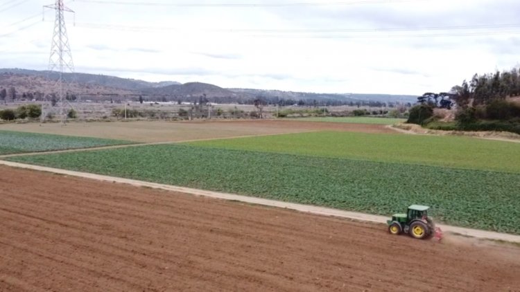 Ministerio de Agricultura entrega bonos de la CNR por $9 mil millones para agricultores de la Región del Maule