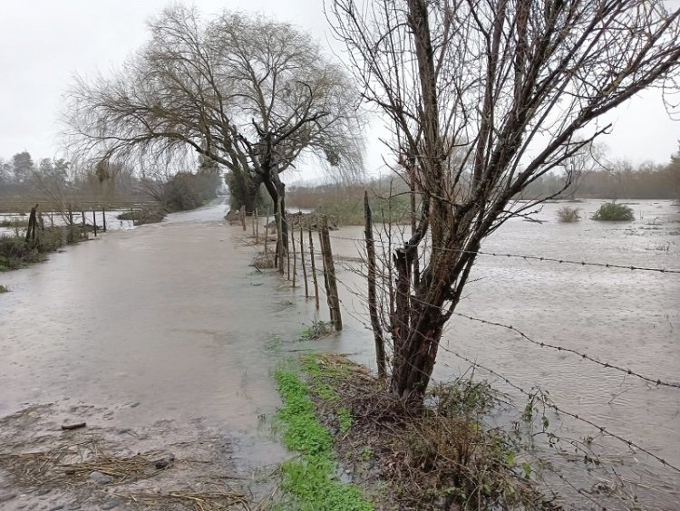 Agosto inicia con precipitaciones: sistema frontal afectará al centro sur del país