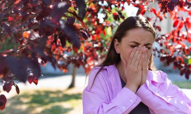Alergias estacionales: cómo prepararse ante la llegada de la primavera