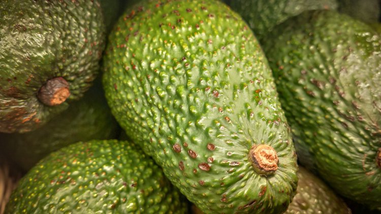 Chile exporta melones a Brasil y fortalece relaciones comerciales con la importación de paltas