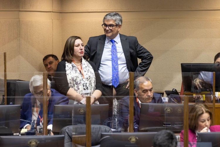 Senadora Vodanovic destacó la aprobación del Proyecto de Ley Anti-Elusión