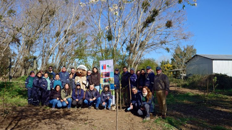 INIA y CONAF se unen para crear un arboretum de especies nativas en el predio de INIA Raihuén