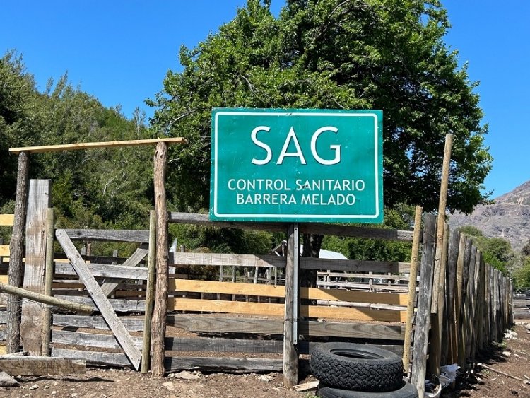 Autoridades dan el vamos a temporada de veranadas en el Maule