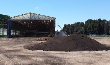 Maule: SMA formula cargo gravísimo a titular de la Avícola Las Rastras por incumplimiento reiterado al permiso ambiental