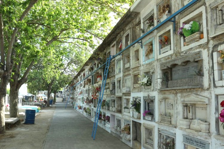 Cementerio Municipal de Talca abrirá sus puertas la noche de Año Nuevo