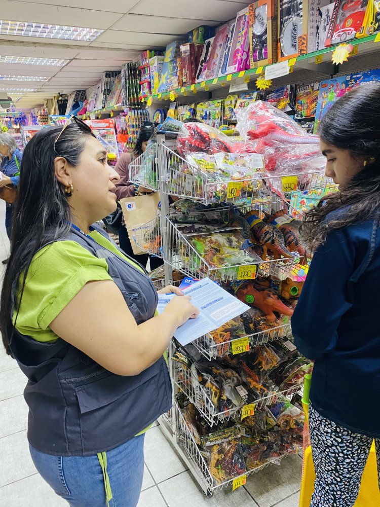 Dirección del Trabajo inicia fiscalizaciones del horario extendido de atención en el Comercio previo a Navidad