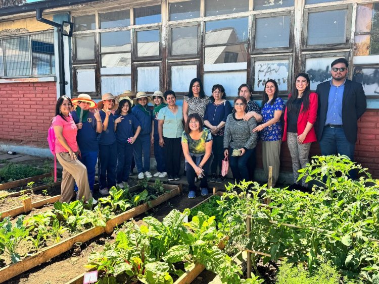 Fondo de Protección Ambiental permitió instalación de huertos escolares en Linares