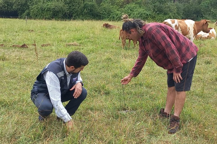 Productor de Colbún destaca rentabilidad de la Ganadería Regenerativa