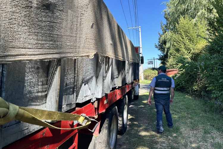 Fiscalización carretera para prevenir plaga en uva