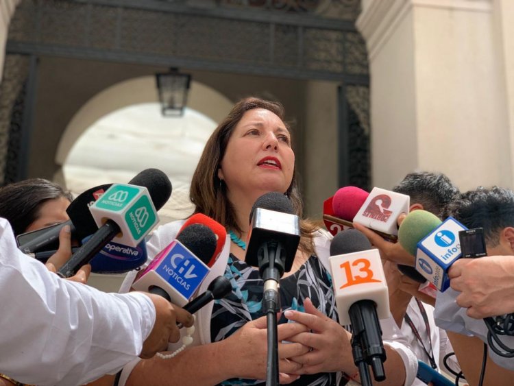 Senadora Vodanovic celebró la promulgación de la Ley Antiterrorista de la que es coautora