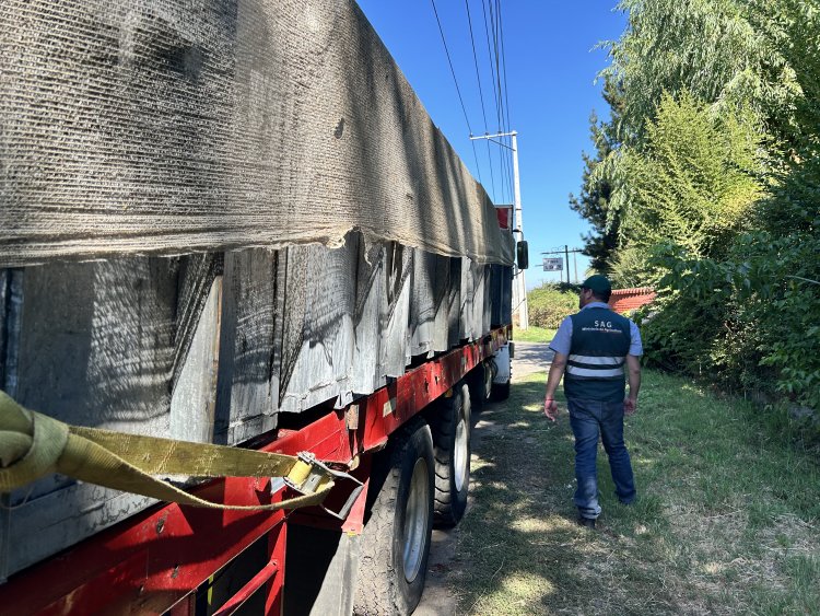 Autoridades supervisan transporte de uva en fiscalización carretera