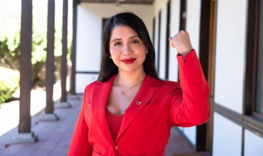 (VIDEO) ¡Con amplia mayoría!: Cámara aprobó proyecto de la diputada Consuelo Veloso que propone plan integral para abordar dilema de perros de libre deambular