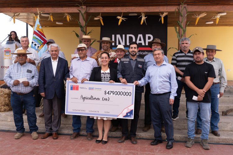 INDAP entrega millonario incentivo para producción de maíz en Maule