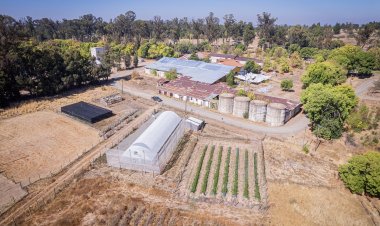 INIA Cauquenes conmemora 100 años de historia, ciencia y compromiso con la agricultura de secano