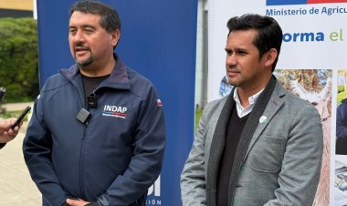 INDAP y Municipalidad de Parral invitan a la Primera “Expo Arroz 2025”