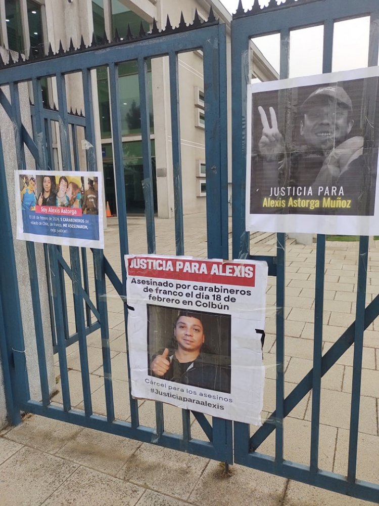 Senadora Vodanovic valoró avance en la investigación por la muerte de Alexis Astorga en Colbún