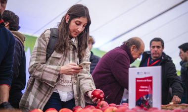 Chile fortalece liderazgo frutícola: manzana chilena se consolida en Brasil, Colombia y Ecuador