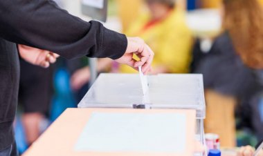 Analista político UTalca: Primarias presidenciales sorprenden por su competitividad