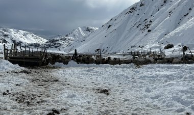 SAG recuerda que todas las barreras sanitarias en el Maule están cerradas