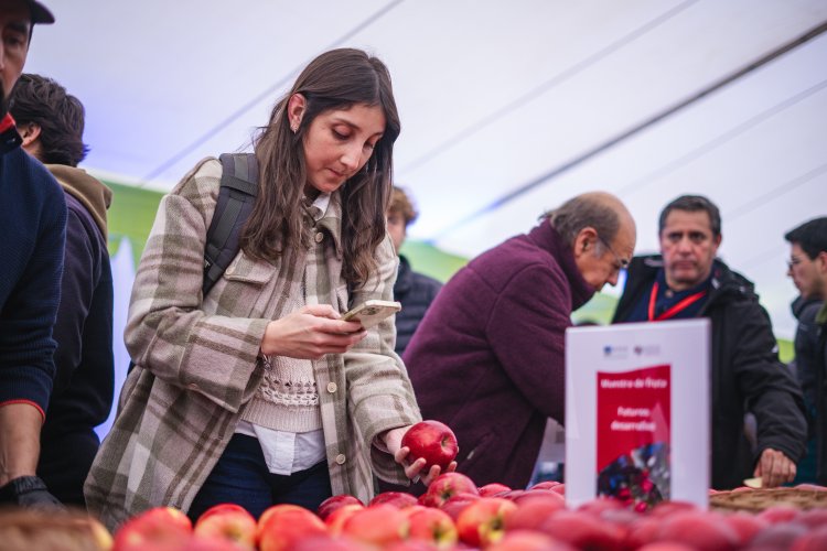 Chile fortalece liderazgo frutícola: manzana chilena se consolida en Brasil, Colombia y Ecuador