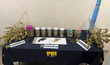 (VIDEO) Linares: firma mensual y arraigo nacional para imputado formalizado por cultivos de marihuana "indoor" y tenencia de Armas de fuego