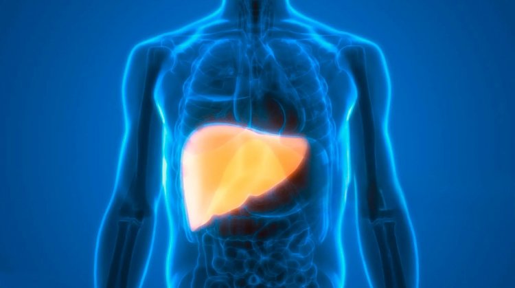Daño hepático y cardiopatía: Advierten que estas enfermedades podrían ser la próxima pandemia