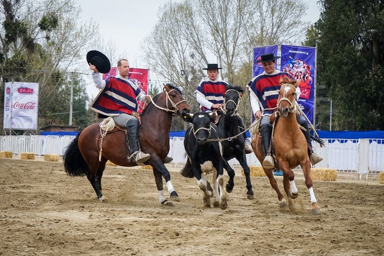 Escuadra Ecuestre Palmas de Peñaflor, Cuadro Verde y Cuadro Negro del Ejército animarán la Fiesta de la Chilenidad 2025