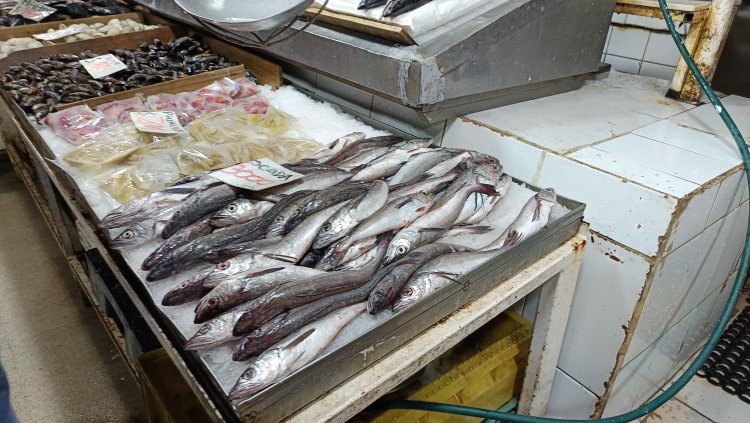 “Que no le vendan la pescá”: El 01 de septiembre comienza la veda de la merluza común