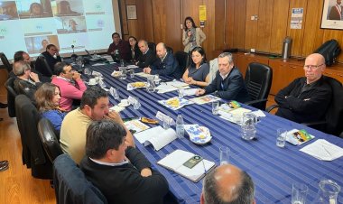 Comisión Nacional del Maíz analiza perspectivas de mercado y modernización estadística