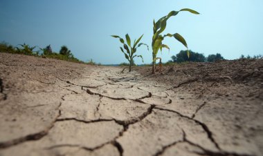 Déficit de lluvias marca un invierno frío y proyecta primavera seca y calurosa