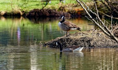 ¿Por qué son tan importantes los ríos y humedales para enfrentar la crisis climática?