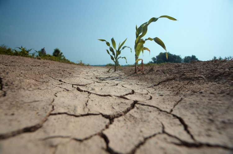 Déficit de lluvias marca un invierno frío y proyecta primavera seca y calurosa