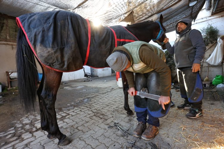 SAG refuerza llamado a prevenir la anemia infecciosa equina en Fiestas Patrias