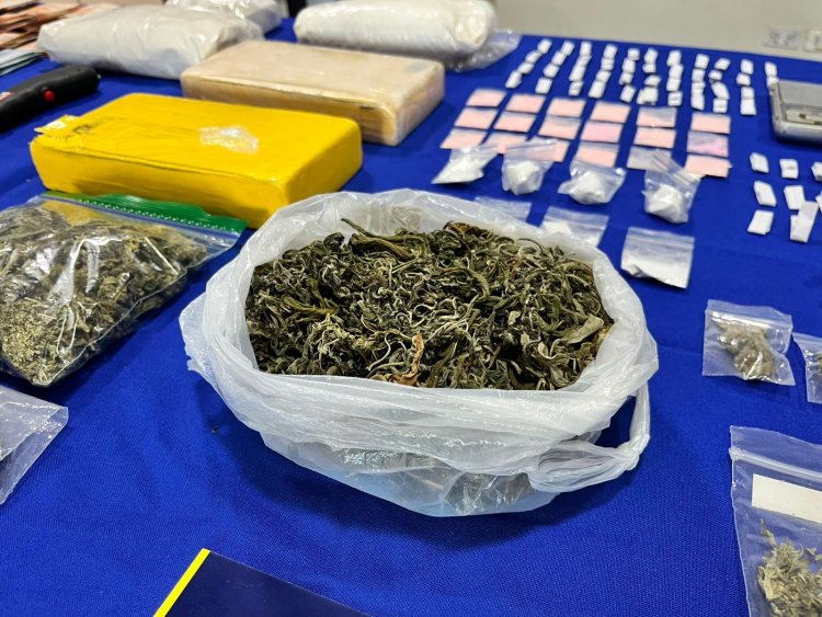 Constitución: cinco sujetos en la cárcel y 18 domicilios allanados tras operativo antidrogas