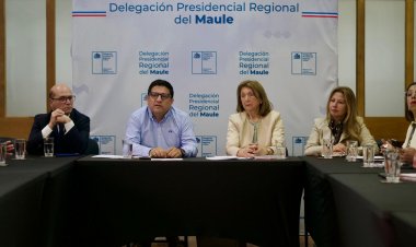Delegado regional: resultados de elecciones presidenciales y parlamentarias en el Maule podrían estar muy temprano