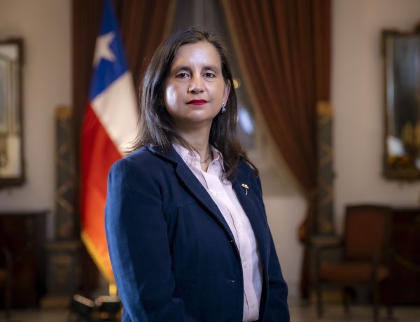 Chile dice no a la mosca de la fruta: Chile exporta confianza